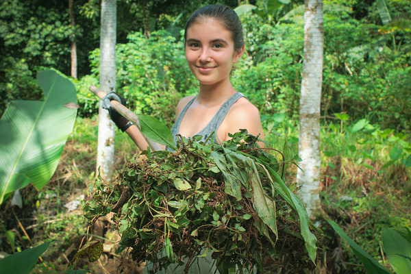 A young woman shows off a pile of jungle mulch and organic matter
